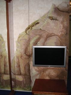 Hotel Drachen 巴塞尔 外观 照片